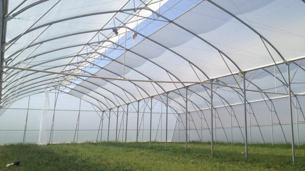 estufa agrícola são gotardo