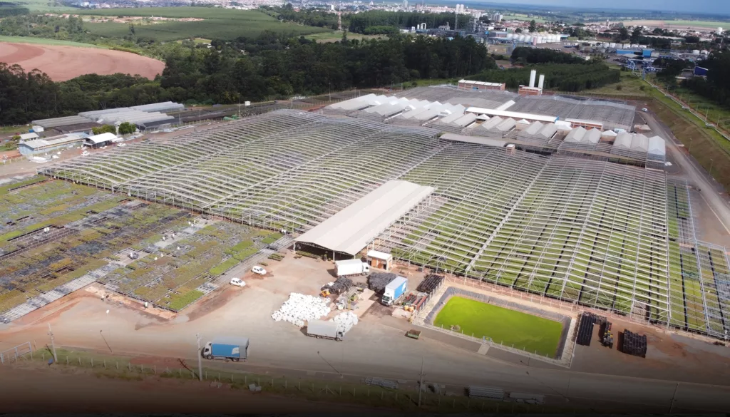 estufa agrícola dona euzébia