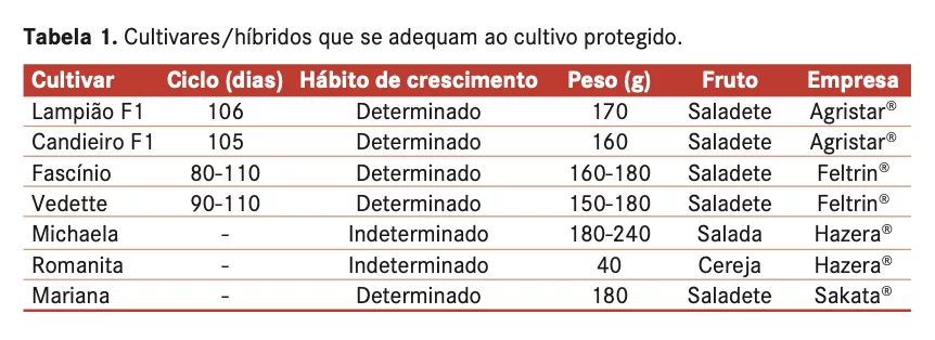 produção em estufas